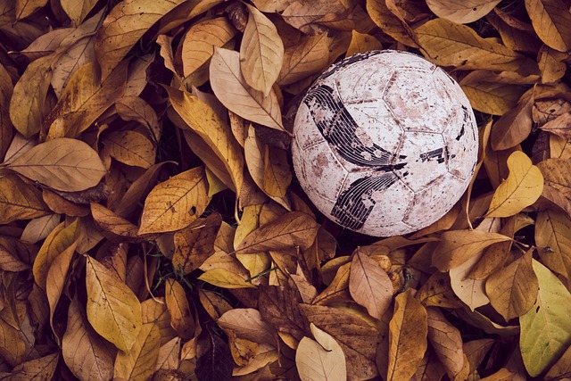 FIFA对